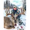 Image 6 : Alberta Minister's Whitetail Licence 2026