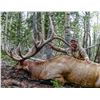 Image 3 : 2026 Utah Boulder Bull Elk Conservation Permit, Multi-Season