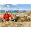 Image 3 : 2026 Montana Mule Deer Auction License