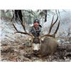Image 5 : 2026 Montana Mule Deer Auction License
