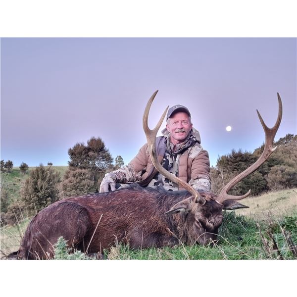 5-Day Sika Stag Hunt in New Zealand for Two (2) Hunters
