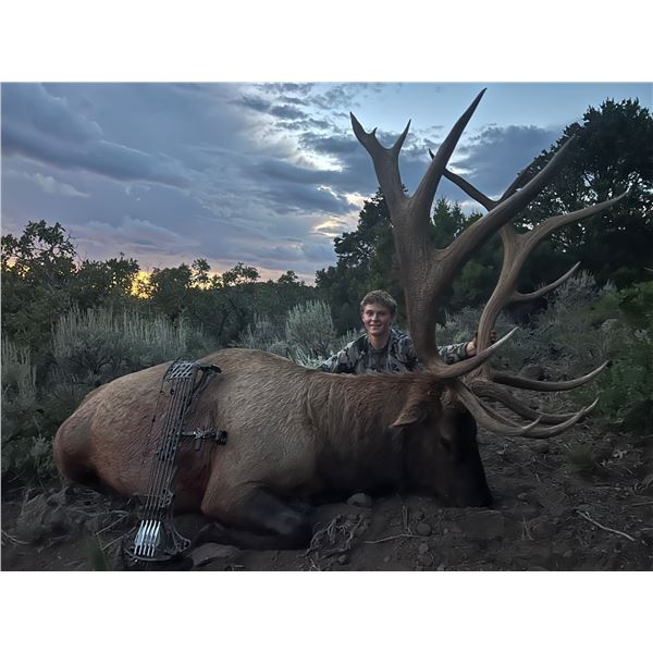 2026 Utah Beaver, East Bull Elk Conservation Permit, Hunter’s Choice of Season/Weapon