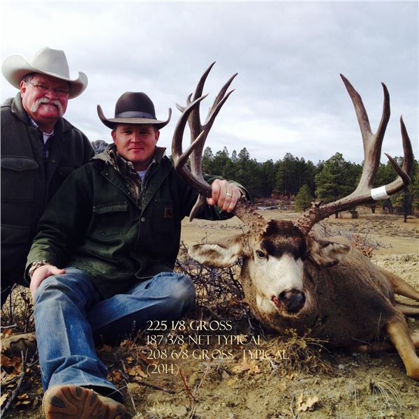 2026 Jicarilla Tribe Mule Deer Auction Permit