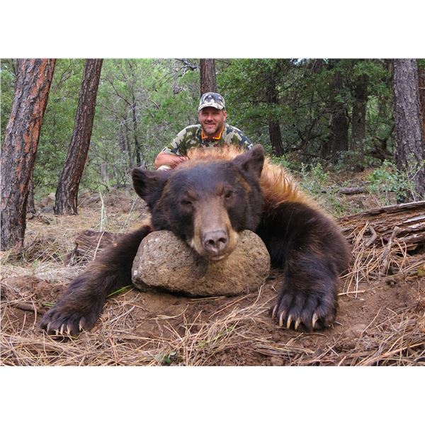 2026 Utah Statewide Black Bear Conservation Permit - Multi-Season
