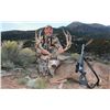 Image 3 : 2026 Utah Henry Mtns Buck Deer Conservation Permit, Hunters Choice of Season/Weapon