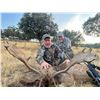 Image 1 : 5-Day Spanish Hunt for Two (2) Hunters & Two (2) Observers