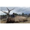 Image 11 : 7-Day Bull Elk Hunt for One (1) or Two (2) hunters – 1 Trophy and 1 Management Bull Elk on