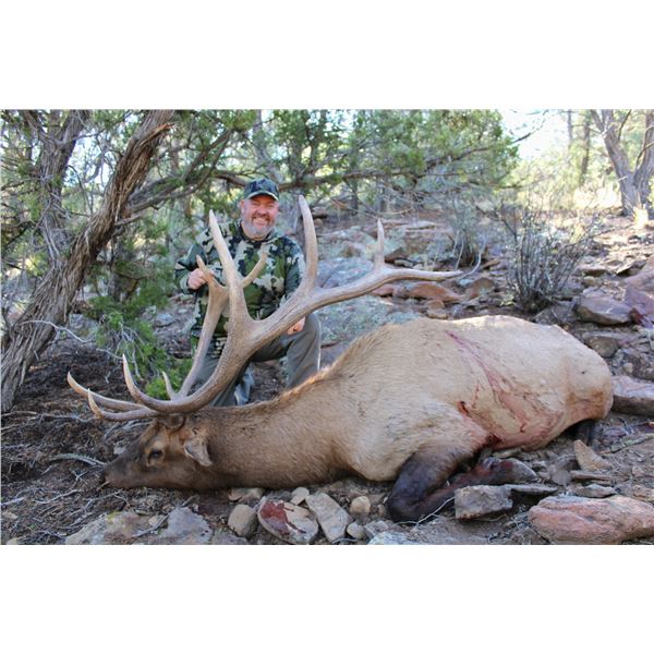 7-Day Bull Elk Hunt for One (1) or Two (2) hunters – 1 Trophy and 1 Management Bull Elk on 