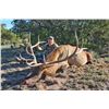 Image 3 : 7-Day Bull Elk Hunt for One (1) or Two (2) hunters – 1 Trophy and 1 Management Bull Elk on