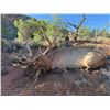 Image 5 : 7-Day Bull Elk Hunt for One (1) or Two (2) hunters – 1 Trophy and 1 Management Bull Elk on