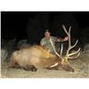 Image 6 : 7-Day Bull Elk Hunt for One (1) or Two (2) hunters – 1 Trophy and 1 Management Bull Elk on