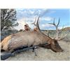 Image 7 : 7-Day Bull Elk Hunt for One (1) or Two (2) hunters – 1 Trophy and 1 Management Bull Elk on
