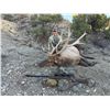Image 8 : 7-Day Bull Elk Hunt for One (1) or Two (2) hunters – 1 Trophy and 1 Management Bull Elk on
