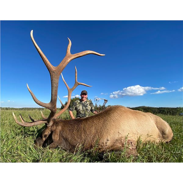 Alberta Minister's Rocky Mountain Elk Licence 2026