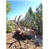 Image 4 : AZ HUALAPAI TRIBE EXCLUSIVE ELK HUNT