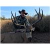 Image 2 : 2026 Sonora Mexico Mule Deer Hunt for 2 Hunters