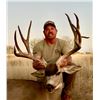 Image 4 : 2026 Sonora Mexico Mule Deer Hunt for 2 Hunters