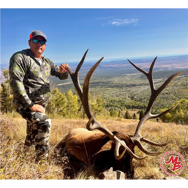 5-Day 2026 Elk Hunt on the San Juan Elk Ridge Mountain for One (1) Hunter - Fully Guided by Mossback