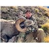 Image 2 : 2026 Utah Statewide, Rocky Mountain Bighorn Sheep Conservation Permit, Any Legal Weapon (rifle)