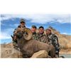 Image 3 : 2026 Utah Statewide, Rocky Mountain Bighorn Sheep Conservation Permit, Any Legal Weapon (rifle)