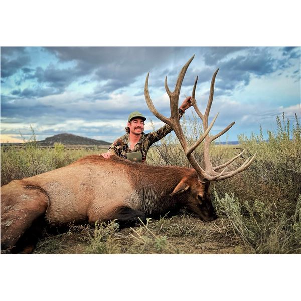 2026 New Mexico Trophy Landowner Guaranteed Tag Rifle Elk Hunt for 2 Hunters