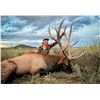 Image 1 : 2026 New Mexico Trophy Landowner Guaranteed Tag Rifle Elk Hunt for 2 Hunters