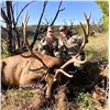 Image 4 : 2026 New Mexico Trophy Landowner Guaranteed Tag Rifle Elk Hunt for 2 Hunters