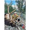 Image 5 : 2026 New Mexico Trophy Landowner Guaranteed Tag Rifle Elk Hunt for 2 Hunters