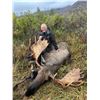 Image 3 : 2026 Alaska Fly-in Moose Hunt DIY For 2 Hunters
