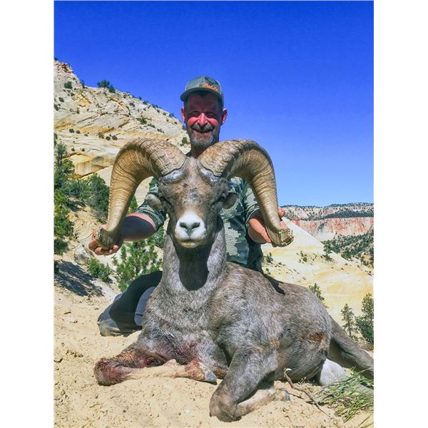 2026 Utah La Sal, Potash/South Cisco, Desert Bighorn Sheep Conservation Permit - Any Legal Weapon (r