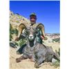 Image 1 : 2026 Utah La Sal, Potash/South Cisco, Desert Bighorn Sheep Conservation Permit - Any Legal Weapon (r