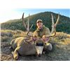 Image 1 : 2026 Utah Diamond Mountain LE Buck Deer Conservation Permit - Multi Season