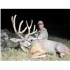 Image 3 : 2026 Utah Diamond Mountain LE Buck Deer Conservation Permit - Multi Season