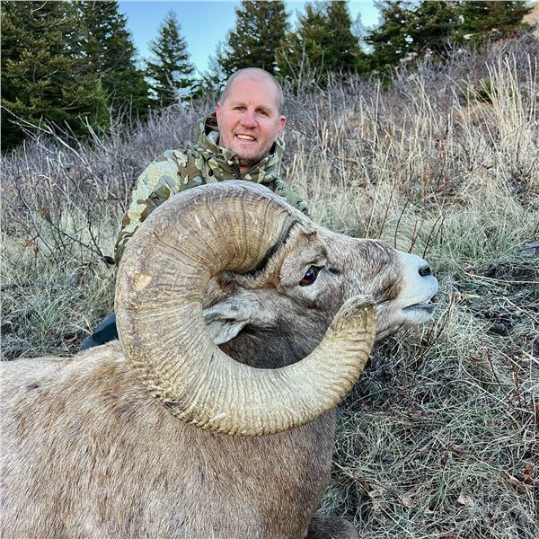 Antelope Island Sheep Conservation Permit
