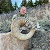 Image 1 : Antelope Island Sheep Conservation Permit