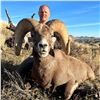 Image 3 : Antelope Island Sheep Conservation Permit
