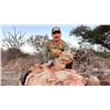 Image 23 : 6-Day South Africa Hunt for Four (4) Hunters
