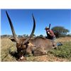 Image 2 : 6-Day South Africa Hunt for Four (4) Hunters