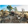 Image 9 : New Mexico Special Big Game Enhancement Package
