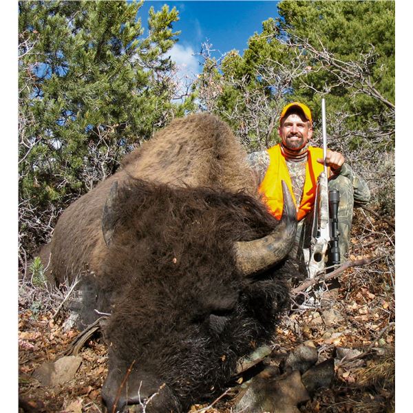 2026 Utah Statewide Bison Conservation Permit