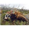 Image 3 : 2026 Utah Statewide Bison Conservation Permit