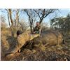 Image 2 : 6-Day Cape Buffalo & Impala Hunt for 2 Hunters (1 Trophy Cape Buffalo and 1 Management Cape Buffalo