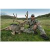 Image 2 : 2026 Colorado Statewide Mule Deer License