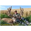 Image 3 : Alberta Minister's Mule Deer Licence 2026