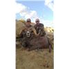 Image 1 : 2026 Utah Statewide Desert Bighorn Sheep Conservation Permit