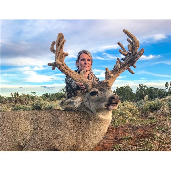 2026 Utah San Juan, Elk Ridge  LE Buck Deer Conservation Permit, Multi-season
