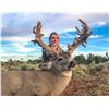 Image 1 : 2026 Utah San Juan, Elk Ridge  LE Buck Deer Conservation Permit, Multi-season