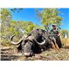 Image 1 : 10-Day Niassa Mozambique Africa Cape Buffalo Hunt for Two (2) Hunters & Two (2) Non Hunters