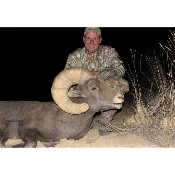 2026 Utah Nine Mile, Gray Canyon Rocky Mountain Bighorn Sheep Conservation Permit, Any Legal Weapon 