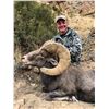 Image 3 : 2026 Utah Nine Mile, Gray Canyon Rocky Mountain Bighorn Sheep Conservation Permit, Any Legal Weapon